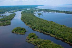 LA AMAZONÍA ES LA INFRAESTRUCTURA ESTRATÉGICA MÁS IMPORTANTE DEL PERÚ