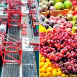 PERÚ CONQUISTA EL MERCADO INTERNACIONAL TRAS EXPORTAR 540 PRODUCTOS AGRÍCOLAS A ESTADOS UNIDOS Y EUROPA