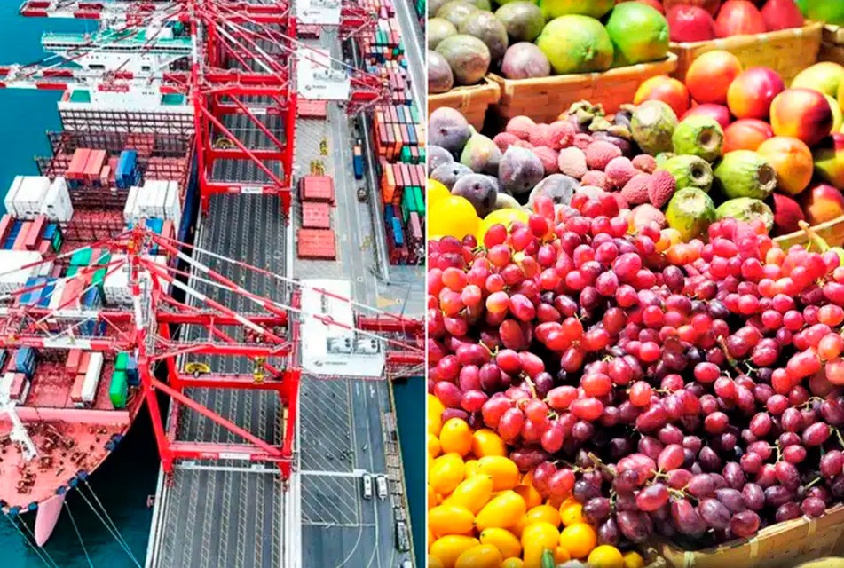 PERÚ CONQUISTA EL MERCADO INTERNACIONAL TRAS EXPORTAR 540 PRODUCTOS AGRÍCOLAS A ESTADOS UNIDOS Y EUROPA