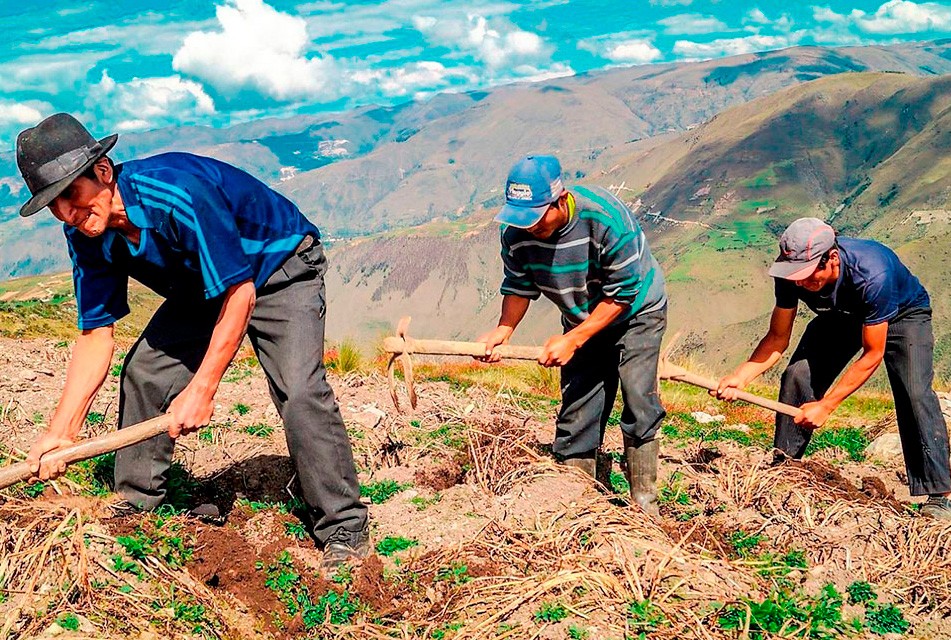 MAYORÍA DE CANDIDATOS NO TIENEN PROPUESTAS PARA SOLUCIONAR ABANDONO QUE SUFRE AGRICULTURA EN EL PAÍS
