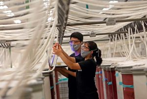 EMPLEO FORMAL EN EL PERÚ SE EXPANDIÓ 4.8% EN PERIODO ENERO-NOVIEMBRE 2025