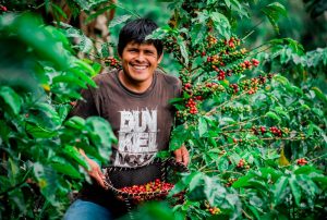 MIDAGRI: PERÚ EXPORTÓ AL MUNDO CASI US$ 7 MIL MILLONES EN FRUTAS Y HORTALIZAS EN ONCE MESES DE 2025