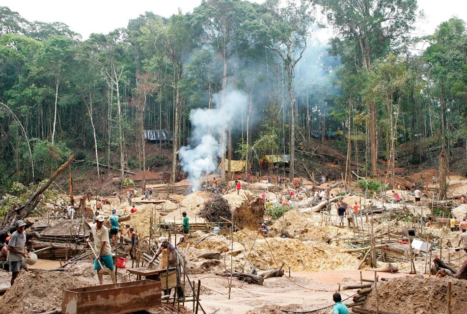 IIMP: MINERÍA ILEGAL REPRESENTA UNA AMENAZA DIRECTA PARA LA DEMOCRACIA Y LA INVERSIÓN EN LAS PRÓXIMAS ELECCIONES