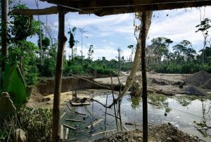 ÁREAS NATURALES PROTEGIDAS EN RIESGO POR DÉBIL PRESENCIA DEL ESTADO Y AVANCE DE ECONOMÍAS ILEGALES