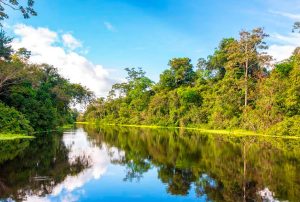 AMAZONÍA PERUANA DEBE SER EJE ESTRATÉGICO DEL DESARROLLO NACIONAL Y NO SOLO UN DISCURSO AMBIENTAL