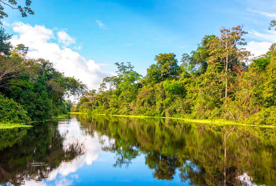 AMAZONÍA PERUANA DEBE SER EJE ESTRATÉGICO DEL DESARROLLO NACIONAL Y NO SOLO UN DISCURSO AMBIENTAL