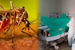 OLA DE CALOR Y DÉFICIT DE AGUA POTABLE INCREMENTAN LOS CASOS DE DENGUE EN PIURA