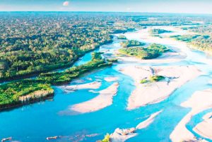 AMAZONÍA PERUANA EN RIESGO POR BIOPIRATERÍA DIGITAL Y APROPIACIÓN DE RECURSOS GENÉTICOS