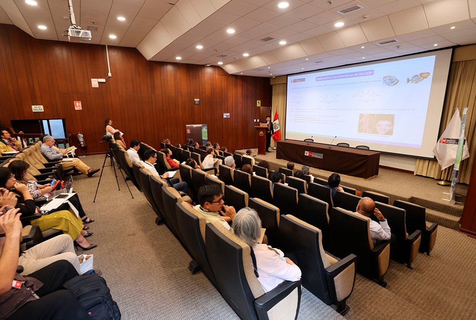 MINEM PARTICIPÓ EN TALLER SOBRE PLANES PARA REDUCIR CONTAMINANTES QUE AFECTAN LA SALUD Y EL AMBIENTE