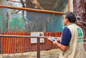 LAS PIRKAS: EL REFUGIO DONDE LOS ANIMALES RESCATADOS DEL TRÁFICO ILEGAL VUELVEN A RESPIRAR
