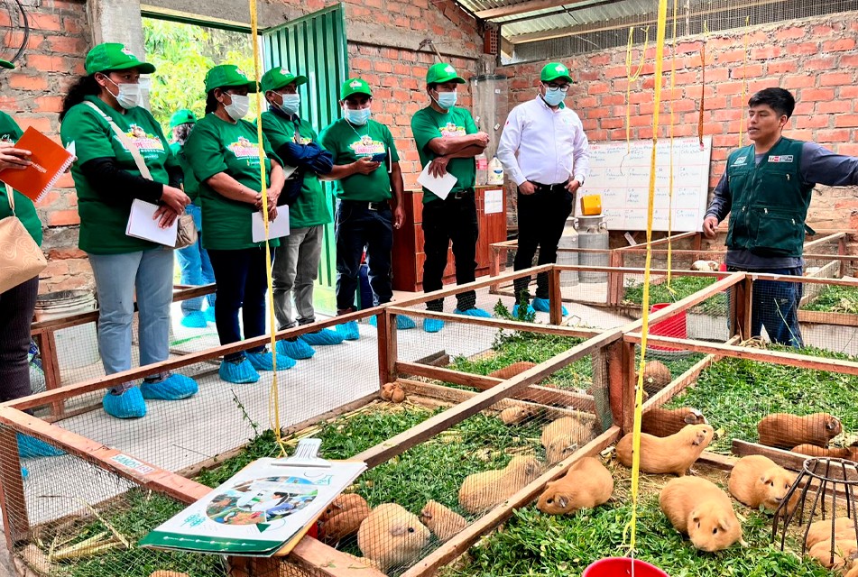 MIDAGRI: PROMOVERÁN PROYECTOS DE INVESTIGACIÓN PARA CONSERVAR LA CALIDAD GENÉTICA DE LA PAPA NATIVA EN HUÁNUCO