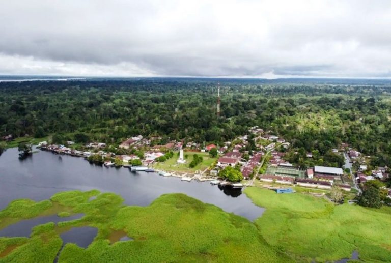 SAN MARTÍN: EL PERÚ NECESITA IMPULSAR UN GRAN PLAN AMAZÓNICO AL 2050, SOSTIENE EL ECOLOGISTA DAVID LANDA