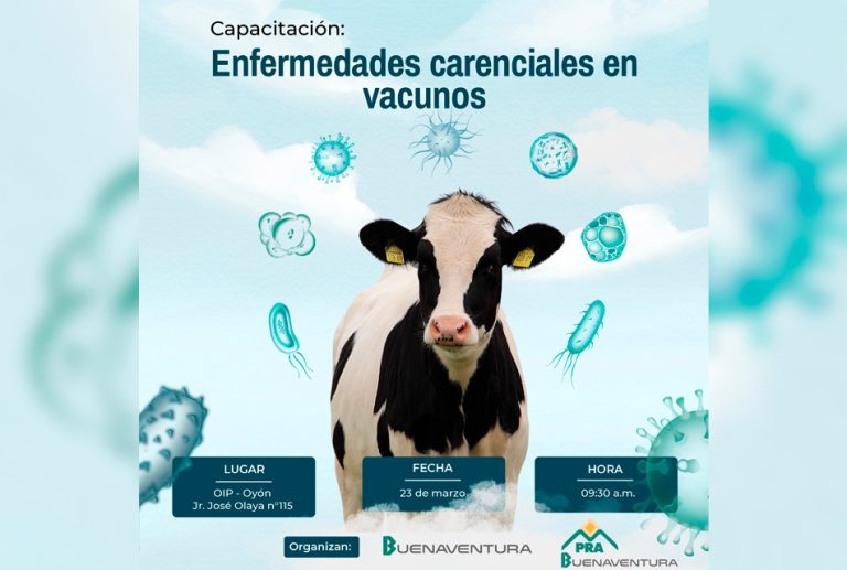 BUENAVENTURA ORGANIZARÁ CAPACITACIÓN SOBRE ENFERMEDADES CARENCIALES EN VACUNOS PARA LOS PRODUCTORES DE OYÓN