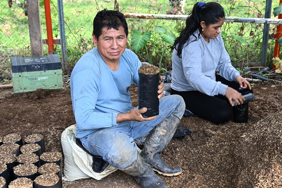 HUÁNUCO: MÁS DE 190 FAMILIAS REACTIVAN SUS CHACRAS CON NUEVAS TÉCNICAS PRODUCTIVAS