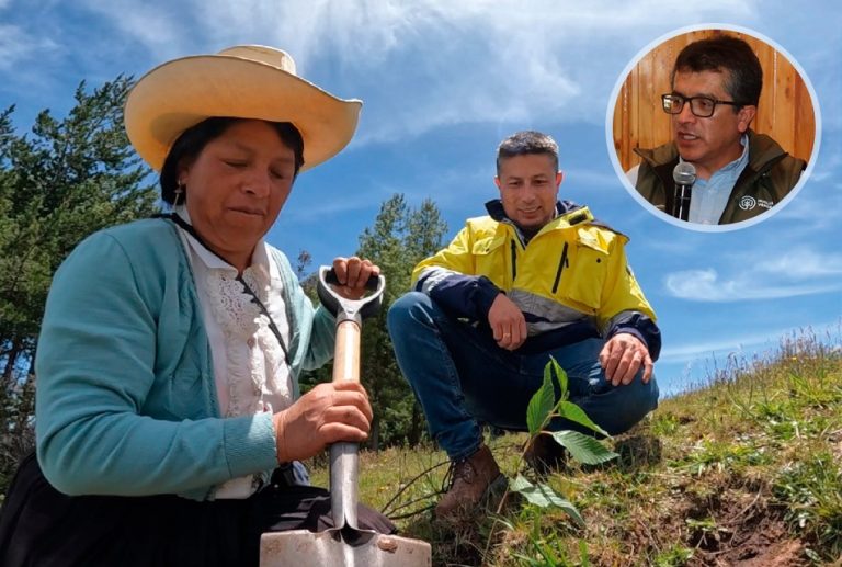 HUELLA VERDE: EL PROYECTO QUE BUSCA CONVERTIR LA REFORESTACIÓN EN UN POLO DE DESARROLLO ECONÓMICO PARA CAJAMARCA