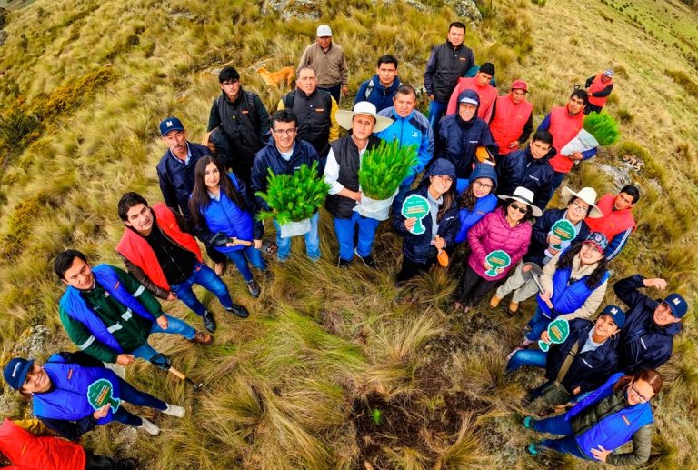 CAJAMARCA BUSCA LIDERAR LA COMPETITIVIDAD FORESTAL CON LA META DE PLANTAR UN MILLÓN DE ÁRBOLES MÁS AL 2027