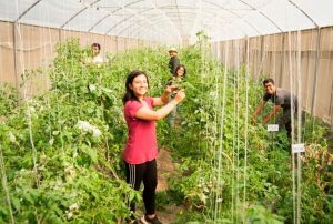 SE INICIA SECIGRA AGRARIO 2026 CON 67 ESTUDIANTES Y EGRESADOS DE CIENCIAS AGRARIAS