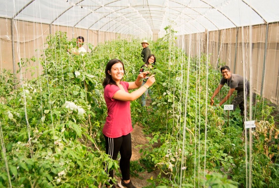 SE INICIA SECIGRA AGRARIO 2026 CON 67 ESTUDIANTES Y EGRESADOS DE CIENCIAS AGRARIAS