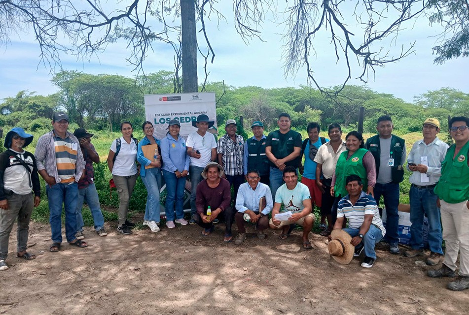 MIDAGRI: INIA TRANSFIERE TECNOLOGÍAS PARA EVITAR DEGRADACIÓN DE SUELOS AGRARIOS POR LLUVIAS EN TUMBES