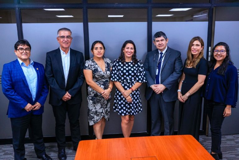 MINEM IMPULSA INCREMENTO EN LA PRODUCCIÓN DE MINERALES CRÍTICOS A TRAVÉS DE LA EXPANSIÓN DEL PROYECTO TOROMOCHO