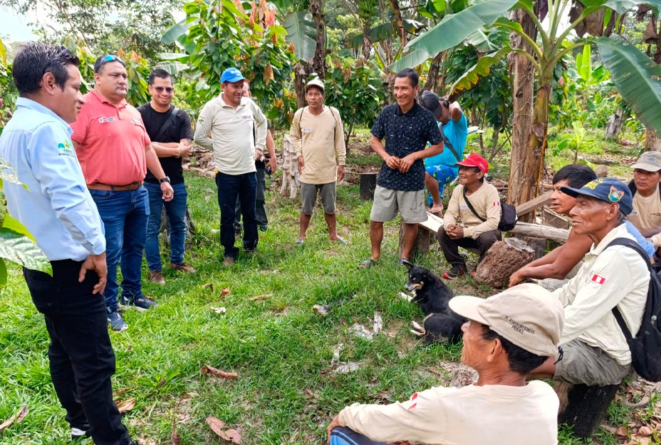 MIDAGRI FORTALECE PRODUCCIÓN DE CACAO CON INVERSIÓN DE MÁS DE S/10 MILLONES Y CENTROS ACOPIO EN ZONA DE FRONTERA EN LORETO
