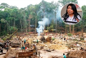 ALIANZA PARA EL PROGRESO COMBATIRÁ LA MINERÍA ILEGAL PARA FRENAR LA DELINCUENCIA, DICE CANDIDATA