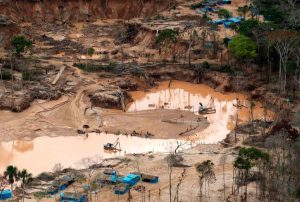 MINERÍA ILEGAL ARRASÓ 500 HECTÁREAS EN LA RESERVA NACIONAL TAMBOPATA EN EL ÚLTIMO AÑO