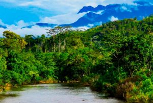 UNIVERSIDAD TECNOLÓGICA ALTO MAYO FORMARÁ PROFESIONALES PARA TRANSFORMAR LA AMAZONÍA Y REDUCIR LA DEFORESTACIÓN, AFIRMA ECOLOGISTA DAVID LANDA