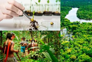 LA AMAZONÍA PERUANA NECESITA EMPRESAS TRANSFORMADORAS, BIOTECNOLÓGICAS Y COMUNITARIAS, SOSTIENE ECOLOGISTA DAVID LANDA