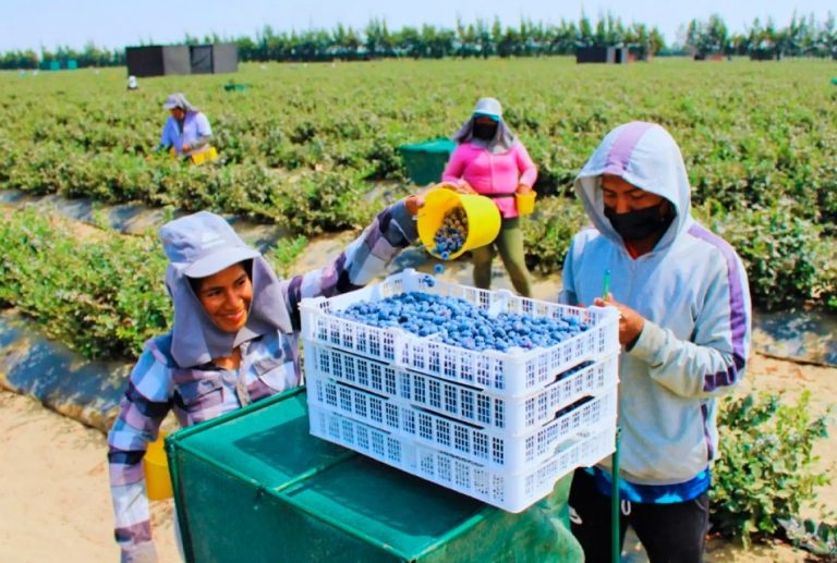AGROINDUSTRIA COSTERA CONTRIBUYE PARAPROTEGER LA AMAZONÍA Y COMBATIR EL CAMBIO CLIMÁTICO, SOSTIENE ECOLOGISTA DAVID LANDA