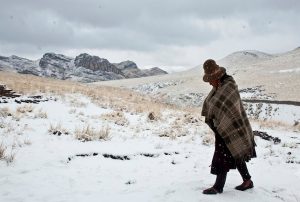 PUNO AFRONTARÁ LAS NOCHES MÁS FRÍAS DEL AÑO: SENAMHI PREVÉ HASTA -21 °C EN MAZOCRUZ Y ALERTA POR AFECTACIÓN AL GANADO