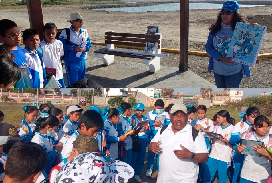 MINAM IMPULSA RECUPERACIÓN DE HUMEDALES Y FORTALECE GESTIÓN AMBIENTAL DE LA BAHÍA DE PARACAS