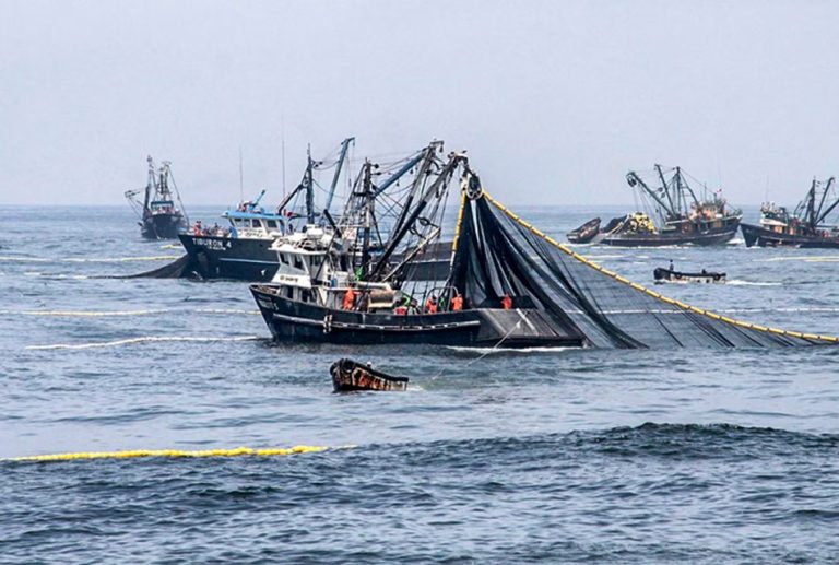 FENÓMENO DE EL NIÑO CAUSA PÉRDIDAS ECONÓMICAS A PYMES EN CONFECCIONES Y PESCA