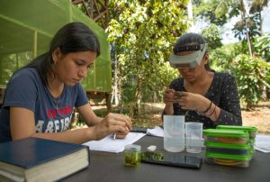 PRONABEC PRIORIZARÁ ENTREGA DE BECAS PARA CARRERAS CON MAYOR DEMANDA LABORAL