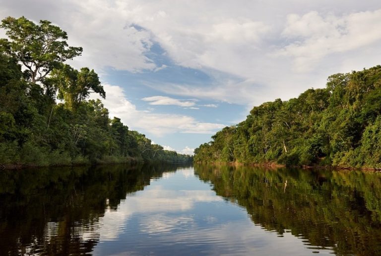 ECOLOGISTA DAVID LANDA PLANTEA CREAR UN MINISTERIO DE LA AMAZONÍA PERUANA PARA UNIFICAR COMPETENCIAS AMBIENTALES Y GESTIONAR CON EFICIENCIA