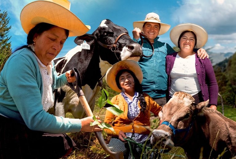 SINERGIA MULTISECTORIAL Y GESTIÓN DEL AGUA IMPULSAN LA GANADERÍA EN CAJAMARCA, RESALTA NEWMONT FONCREAGRO