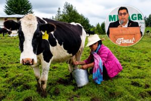 MINISTRO DE DESARROLLO AGRARIO Y RIEGO ANUNCIA INVERSIÓN DE MÁS DE S/ 19 MILLONES EN CRÉDITOS PARA LA GANADERÍA DE CAJAMARCA
