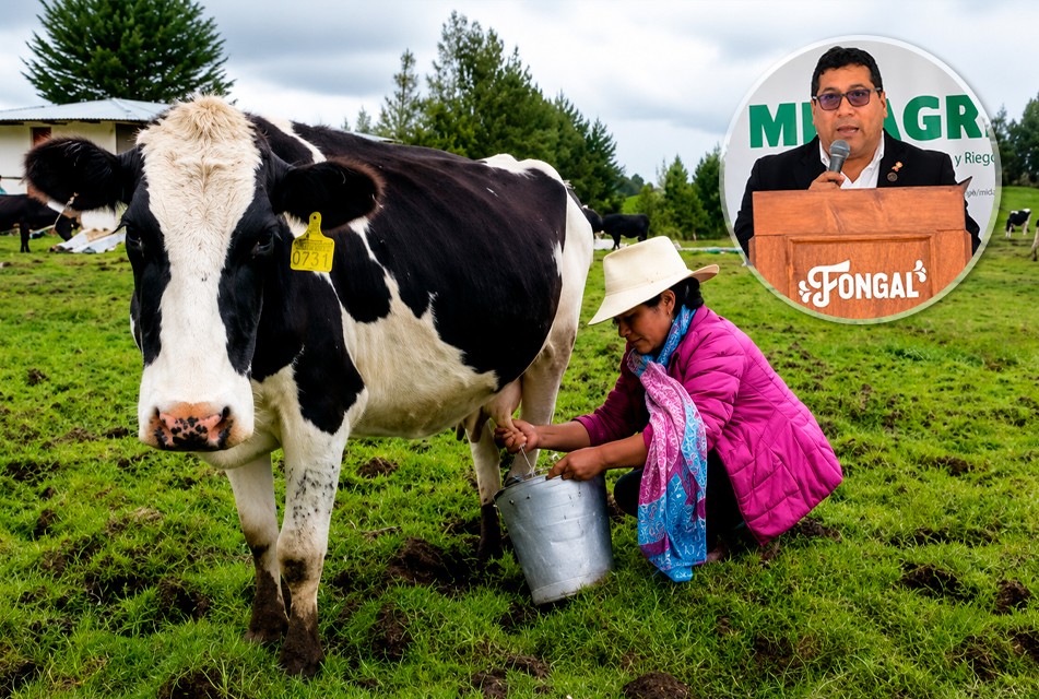 MINISTRO DE DESARROLLO AGRARIO Y RIEGO ANUNCIA INVERSIÓN DE MÁS DE S/ 19 MILLONES EN CRÉDITOS PARA LA GANADERÍA DE CAJAMARCA