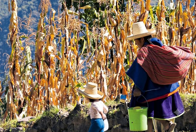 CAJAMARCA SIGUE EN EL PUESTO 20 DEL ÍNDICE DE COMPETITIVIDAD REGIONAL DESDE HACE UNA DÉCADA PORQUE LAS AUTORIDADES NO SABEN APROVECHAR SUS RECURSOS