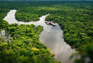 EL GOBIERNO DE KEIKO FUJIMORI DEBE CREAR UN MINISTERIO DE LA AMAZONÍA Y DAR CRÉDITOS A 450 MIL EMPRENDEDORES, SOSTIENE ECOLOGISTA DAVID LANDA