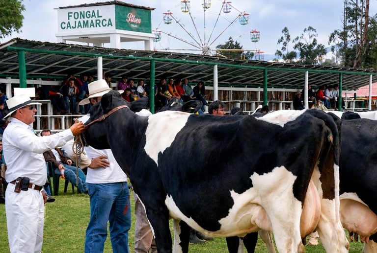 FONGAL 2026 DEMUESTRA QUE CAJAMARCA ES LA CUENCA LECHERA MÁS GRANDE DEL PERÚ