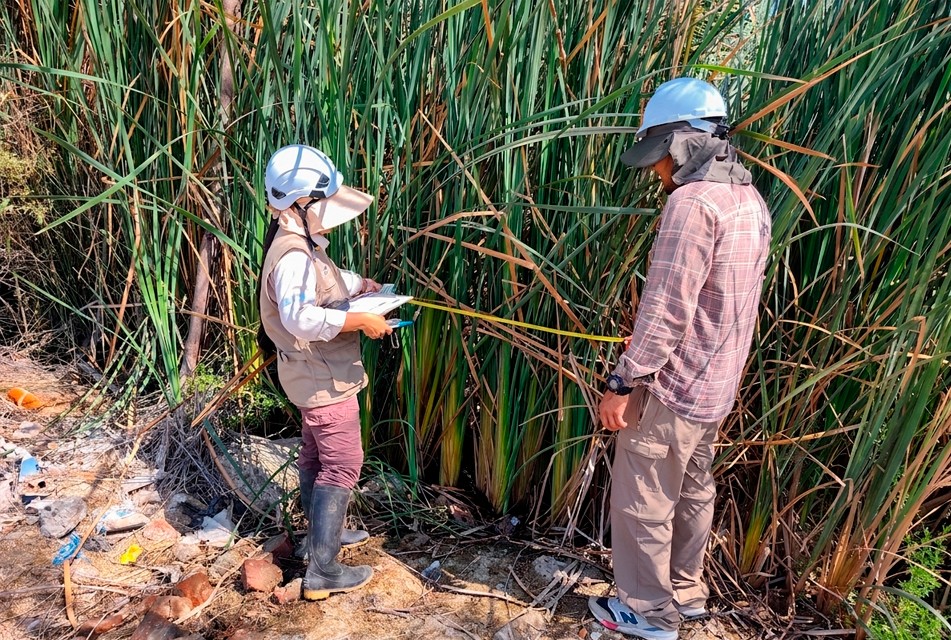 SUPERVISIÓN FORESTAL CONTRIBUYE EN LA CONSERVACIÓN DE LOS HUMEDALES DEL NORTE DEL PERÚ