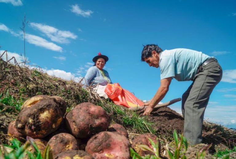 LA REORGANIZACIÓN DEL MIDAGRI DEBE PRIORIZAR LA PRODUCTIVIDAD Y LA AGRICULTURA 4.0, AFIRMA EXVICEMINISTRO HUBERT VALDIVIA
