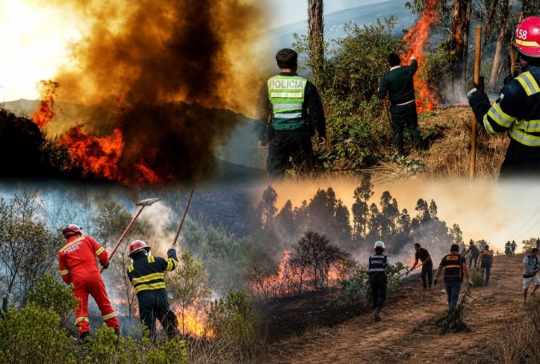 EMERGENCIAS POR INCENDIOS FORESTALES ESTÁN EN AUMENTO POR TEMPORADA SECA EN CAJAMARCA