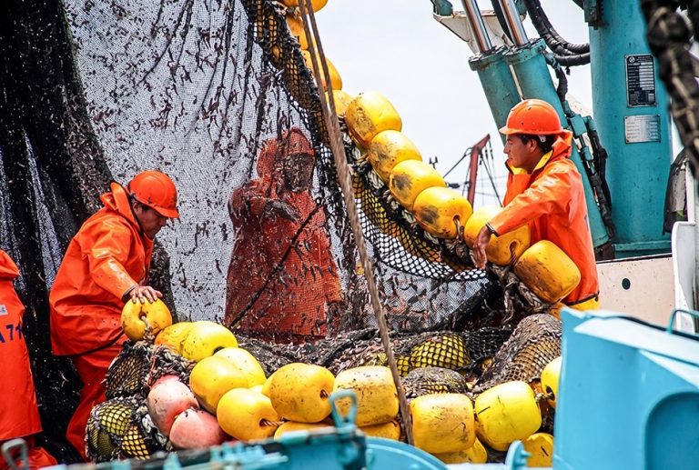 NIÑO COSTERO 2026: PESCA INDUSTRIAL DE ANCHOVETA CAE MÁS DE 80% Y AFECTA A 250 MIL EMPLEOS, ADVIERTE SOCIEDAD NACIONAL DE PESQUERÍA