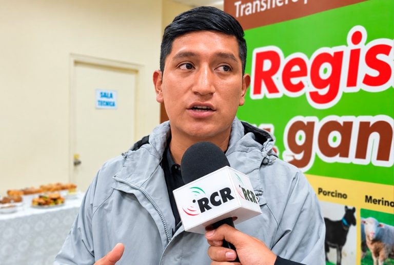GANADEROS DE CAJAMARCA APUESTAN POR EL MEJORAMIENTO GENÉTICO PARA ELEVAR EL VALOR Y RENTABILIDAD DE SU GANADO