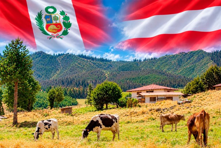 PERÚ Y AUSTRIA FORTALECEN COOPERACIÓN PARA IMPULSAR EL MEJORAMIENTO GENÉTICO Y LA GANADERÍA EN CAJAMARCA