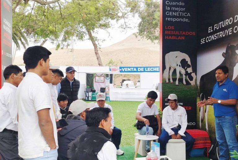 MEJORAMIENTO GENÉTICO Y GENÓMICO BUSCA IMPULSAR LA PRODUCTIVIDAD Y COMPETITIVIDAD DE LA GANADERÍA EN CAJAMARCA