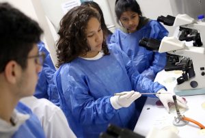 MINSA PUBLICA LISTA DE POSTULANTES APTOS Y OBSERVADOS PARA EL PROCESO DE ADJUDICACIÓN DE PLAZAS SERUMS 2026-II