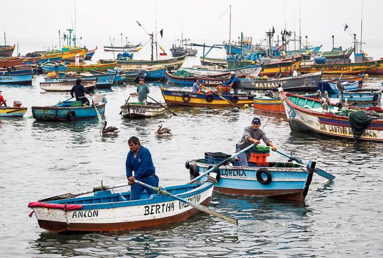 MÁS DE 80 MIL PESCADORES ARTESANALES ENFRENTAN EL NIÑO COSTERO 2026; GREMIO PIDE PLANIFICAR Y MODERNIZAR LOS EMBARCADEROS